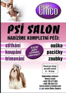 Psí salon Chico